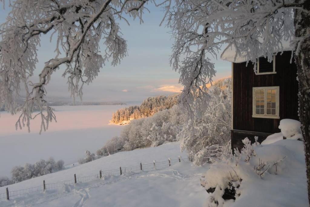 Opplev Jotunheimen Fra Vevstogo Apartamento Vestre Slidre Exterior foto